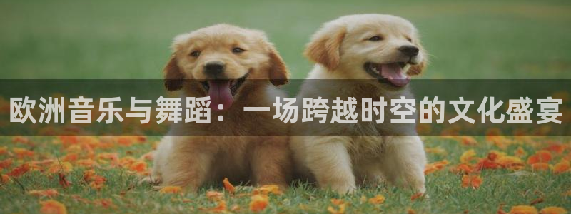 聚富welcome体育平台开号链接：欧洲音乐与舞蹈：一场跨越时空的文化盛宴