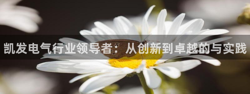 聚富welcome3官网：凯发电气行业领导者：从创新到卓越的与实践