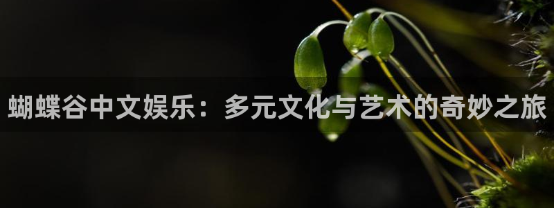 聚富welcome体育娱乐注册链接：蝴蝶谷中文娱乐：多元文化与艺术的奇妙之旅