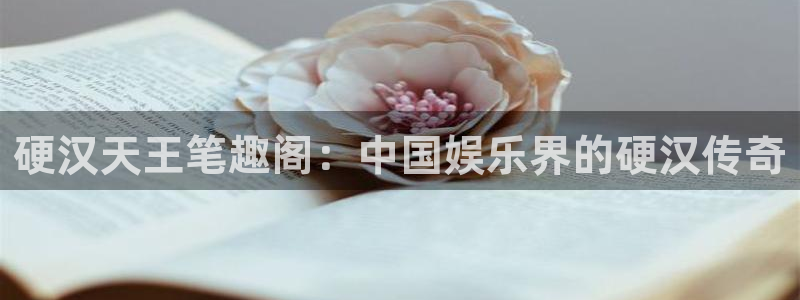 聚富welcome体育老板是谁：硬汉天王笔趣阁：中国娱乐界的硬汉传奇
