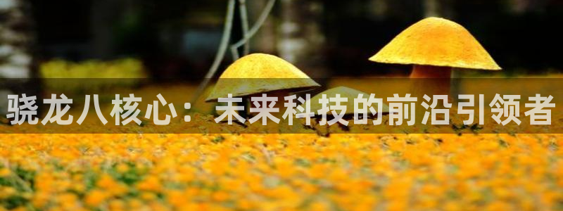 聚富welcome体育平台开号链接：骁龙八核心：未来科技的前沿引领者