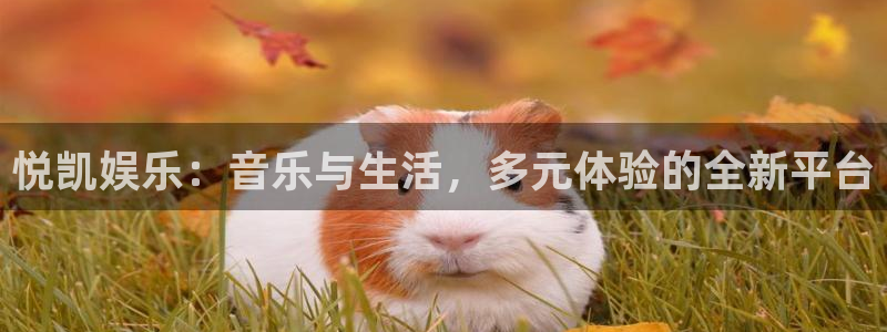 聚富welcome3官网登录：悦凯娱乐：音乐与生活，多元体验的全新平台