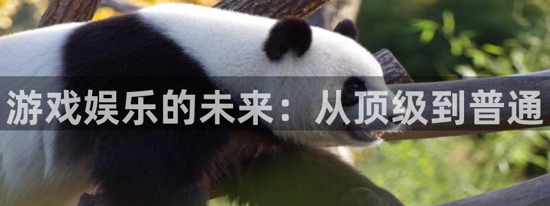 聚富welcome凯捷平台：游戏娱乐的未来：从顶级到普通