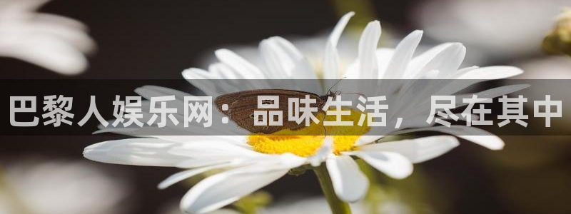 聚富welcomef凯捷注册：巴黎人娱乐网：品味生活，尽在其中