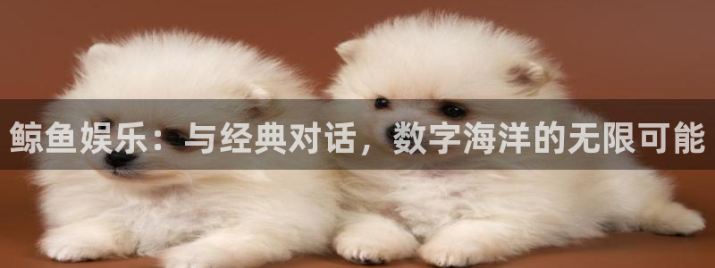 聚富welcome2平台登录：鲸鱼娱乐：与经典对话，数字海洋的无限可能